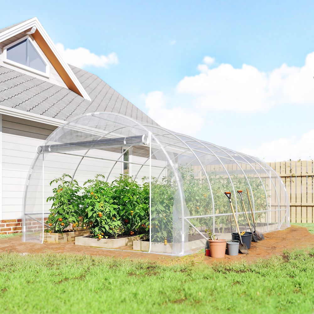 Serre tunnel de jardin acier galvanisé 5,97 x 2,96 x 1,99 m transparente 2 portes enroulables - comfortxl outdoor living