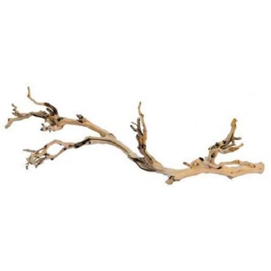 Branche de vigne sable reptiles petit
