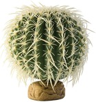 Décoration plante cactus oursin moyen