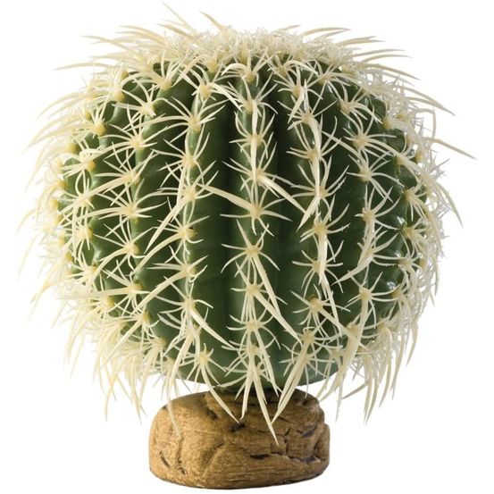 Décoration plante cactus oursin moyen