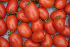 Lot de 100 graines de tomate roma - variété vigoureuse et productive