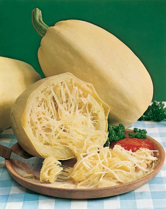 Courge cucurbita ficifolia - 5 g