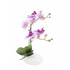 Orchidée artificielle, coupe, toucher naturel, h.36cm - aleyah