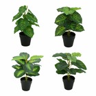 4 plantes vertes artificielles, toucher naturel, h.33cm, vert - mia