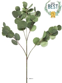 Branche d'eucalyptus artificielle, 3 ramures, h 88 cm - best