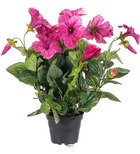 Petunia artificiel en pot h 38 cm 20 fleurs lumineux rose soutenu - couleur: ros