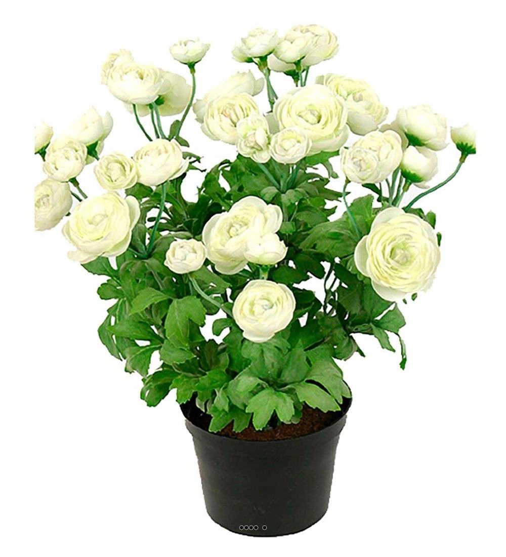 Renoncule artificiel en pot, 32 fleurs
