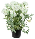 Verveine fleurie artificielle et feuillage en pot, h 28 cm crème - couleur: crèm