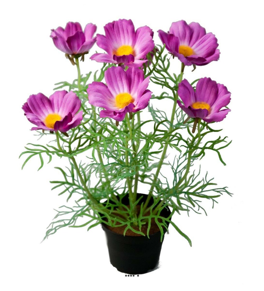 Cosmos fleuries artificielle en pot