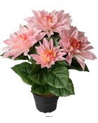 Dalhia commun artificiel en pot, 5 fleurs, h 30 cm rose - couleur: rose