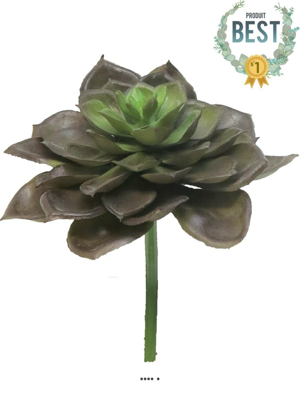 ECHEVERIA GLAUCA ARTIFICI 3-(939834)