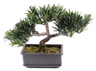 Bonsai artificiel pin podocarpus h 23 cm