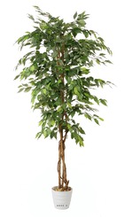 Ficus artificiel abai h 180 cm 1134 superbes feuilles qualite pro - dimhaut: h 1
