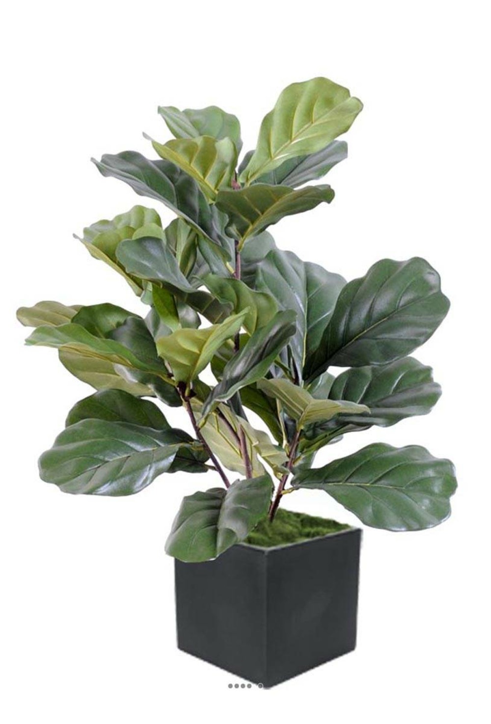 Ficus lyrata buisson factice tronc pe en pot chic, original h60cm vert - dimhaut