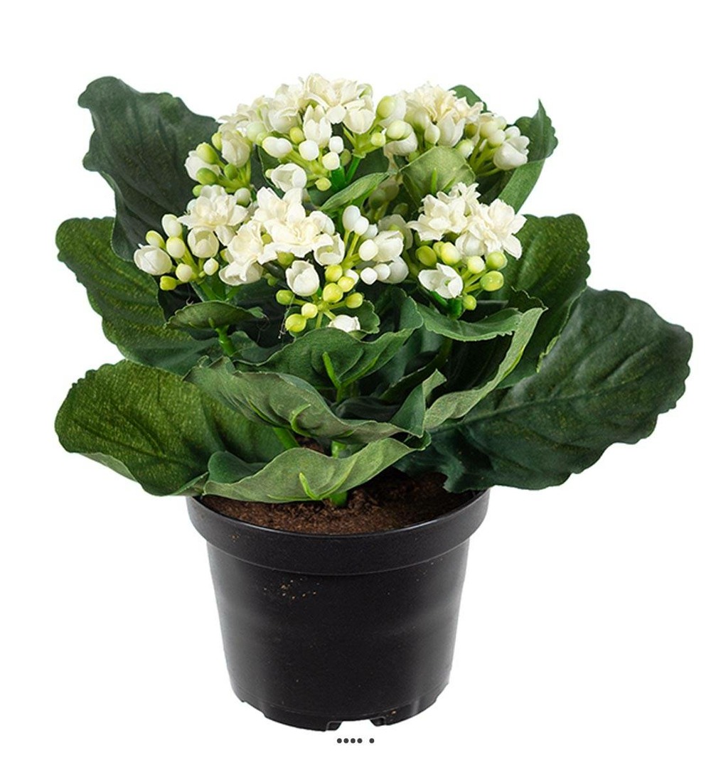 Kalanchoe artificiel en pot H 20 cm