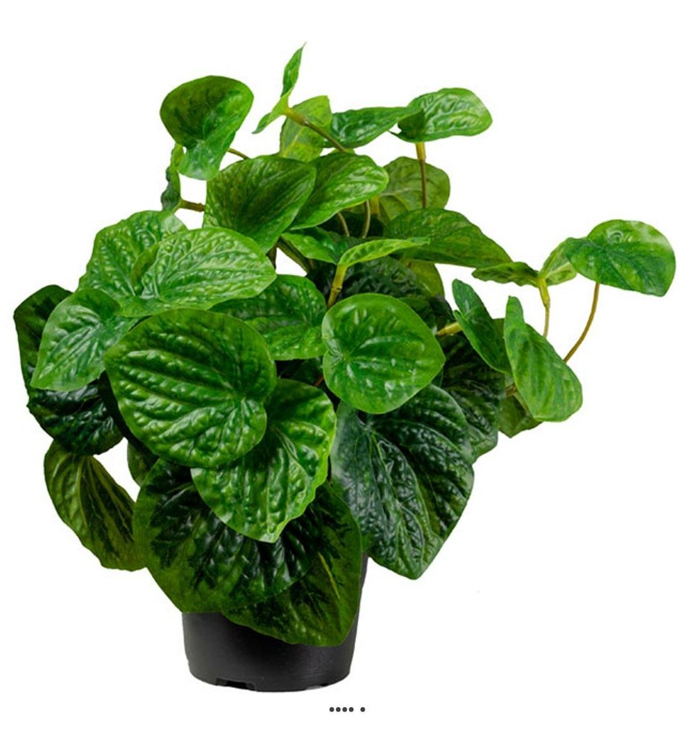 Peperomia plante verte factice en pot h25cm d25cm feuilles vert dense