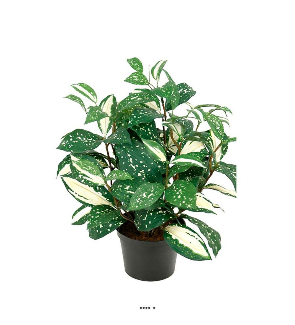 Pothos artificiel au feuillage tacheté h 35 cm, d 28 cm