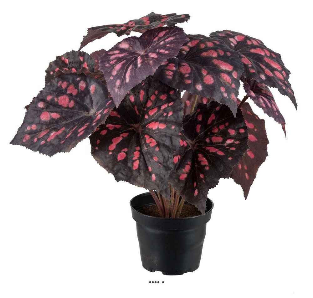 BÃ©gonia royal artificiel en pot