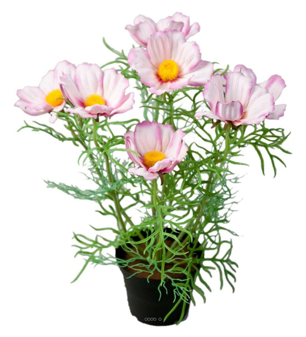 Cosmos fleuries artificielle en pot h 40 cm pourpre-blanc - couleur: pourpre-bla