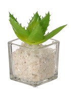 Agave artificielle succulente cactée en pot verre et cailloux blanc - couleur: v