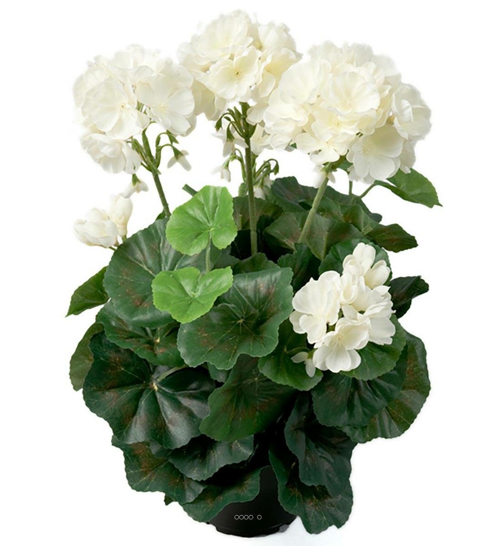 Géranium artificiel 6 têtes en pot lesté h35cm superbes feuilles crème - couleur
