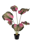 Calathea artificielle en pot, grandes feuilles, h 55 cm vert-rose - couleur: ver