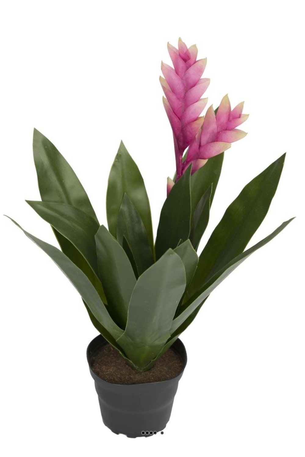 BromÃ©lia fleurie artificielle en pot