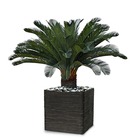 Palmier cycas artificiel sur pied h 100 cm superbe - dimhaut: h 100 cm - couleur