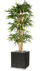 Bambou new grosses cannes h 150 cm 768 feuilles artificiel - dimhaut: h 150 cm -