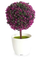 Mini plante topiaire violet déco h25 cm en pot plastique blanc superbe - couleur