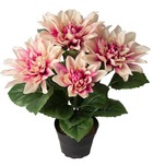 Dalhia commun artificiel en pot, 5 fleurs, h 30 cm rose-crème - couleur: rose-cr