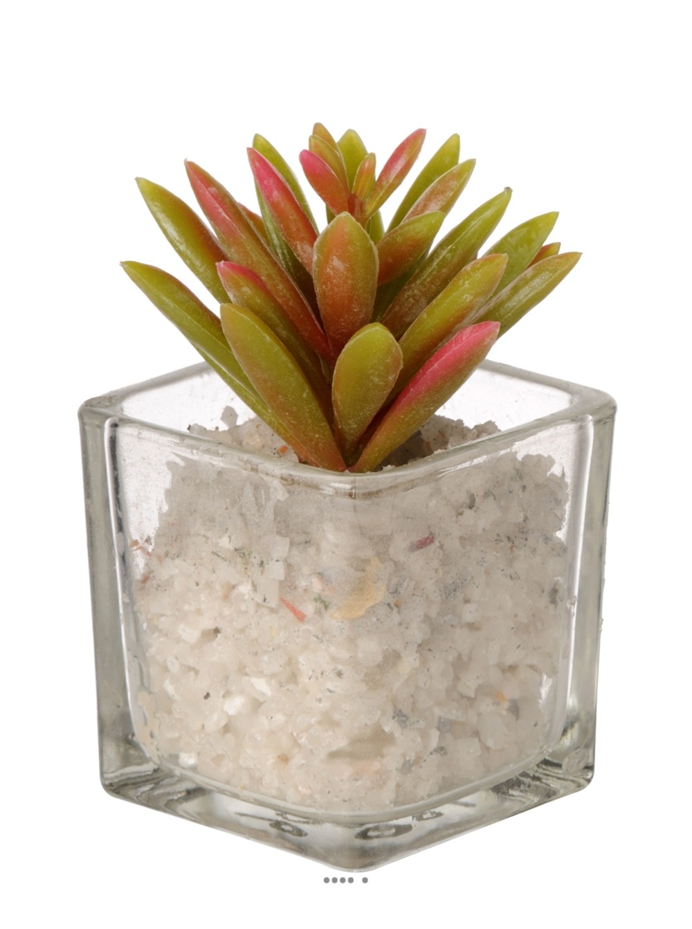 Agave artificielle succulente cactée en pot verre et cailloux blanc - couleur: v