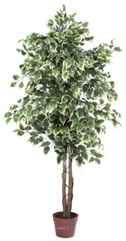 Ficus artificiel 180 cm vert/blanc 1512 feuilles tronc nat - dimhaut: h 180 cm - couleur: blanc-vert