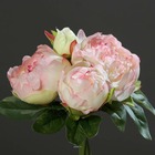 Bouquet de superbes pivoines rose artificielles hauteur 20 cm top - couleur: ros