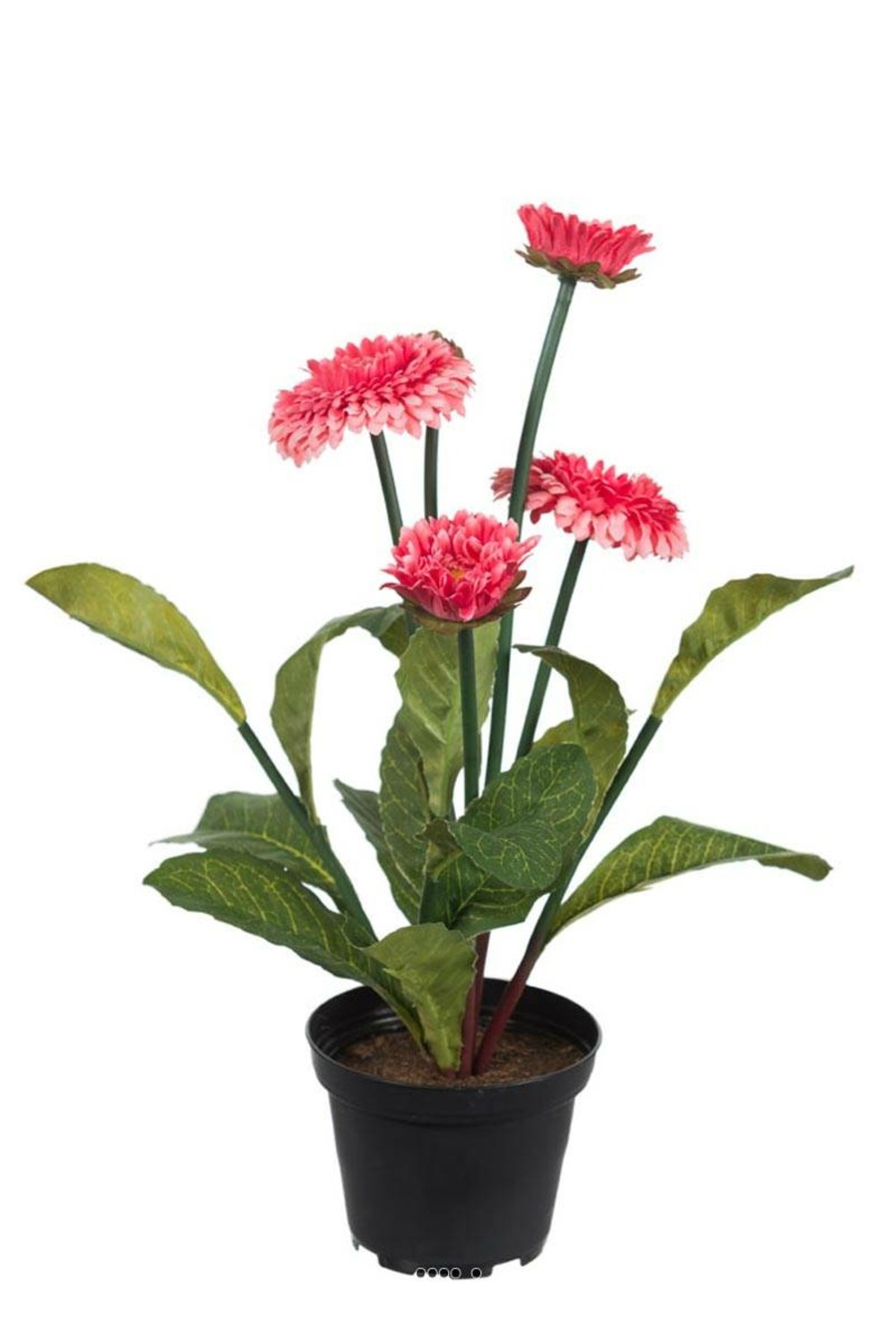 Paquerettes artificielles en pot