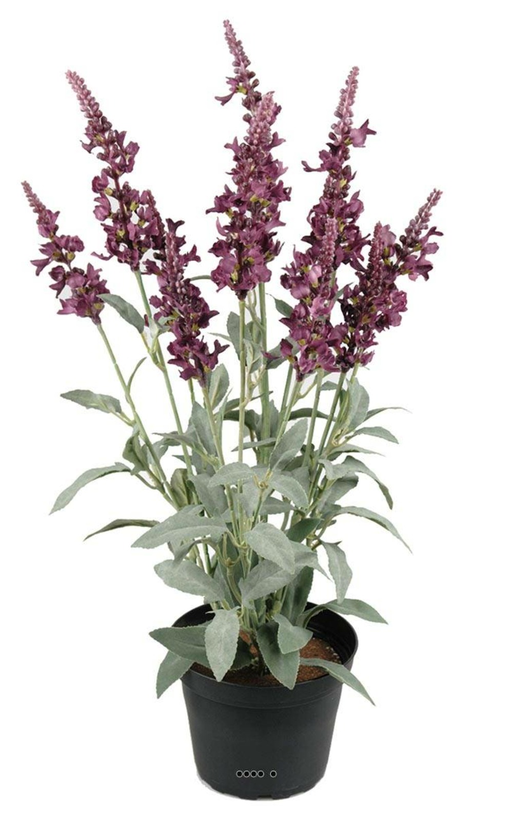 VÃ©ronique artificielles avec feuillage en pot