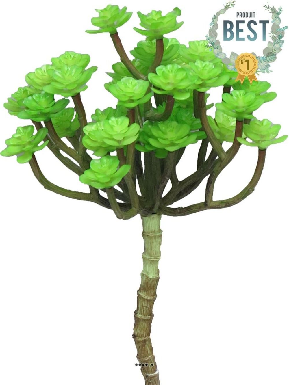 MINI TETES D ECHEVERIA AR 1-(939670)