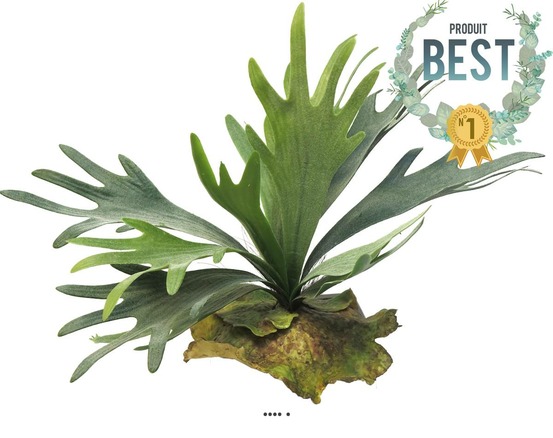 FOUGERE PLATYCERIUM ARTIF 1-(939439)