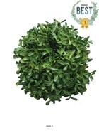 Boule de buis factice feuilles pe protection uv h 15 cm vert - best - dimhaut: h