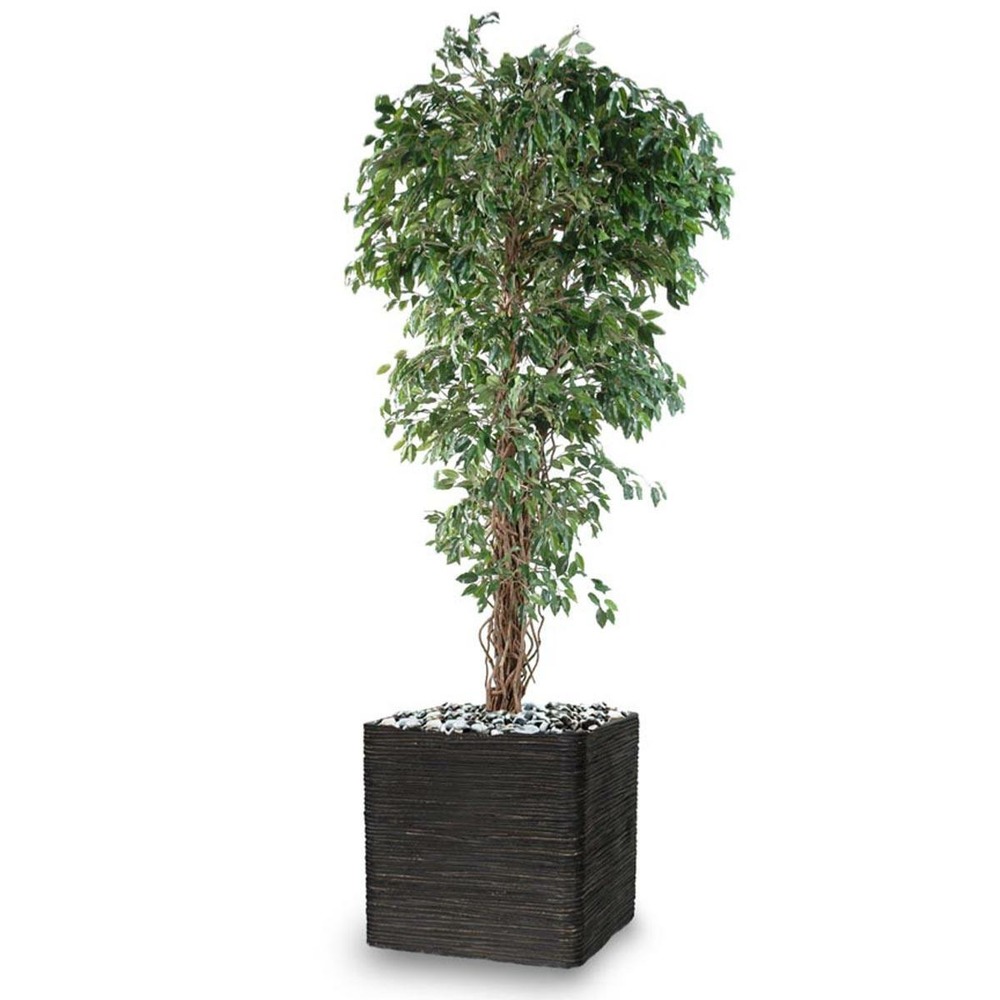 FICUS BENJAMINA ARTIFICIE 10-(941499)