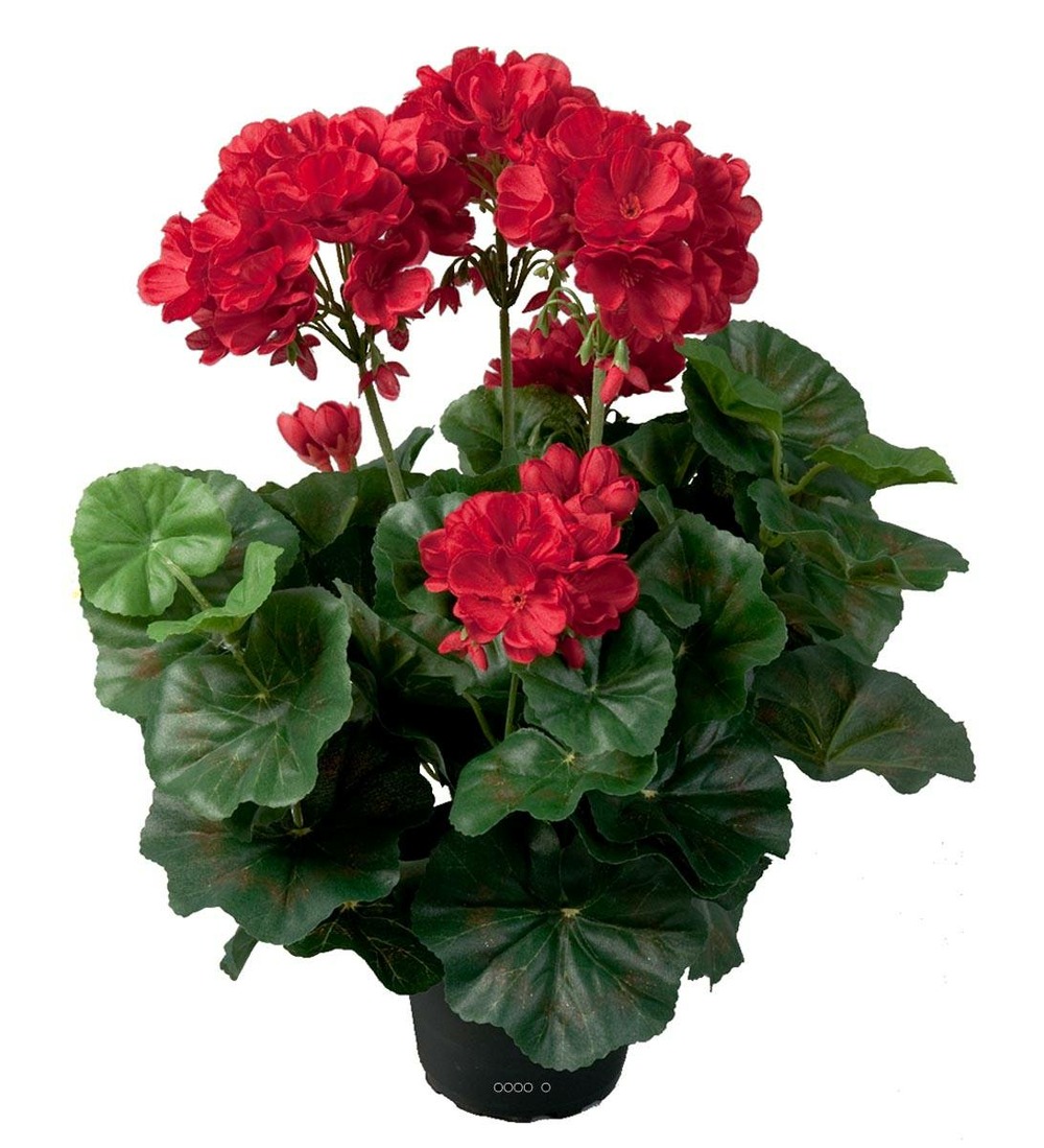 Geranium artificiel 6 tetes en pot leste
