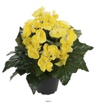 Begonia artificiel en pot h 28 cm superbe qualité jaune citron - couleur: jaune