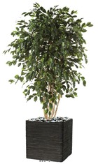 Ficus exotique multi troncs h 210 cm 3465 feuilles artificiel - dimhaut: h 210 c
