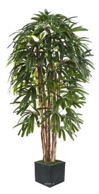 Palmier raphis artificiel en pot multi troncs h 210 cm vert - dimhaut: h 210 cm