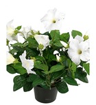 Petunia artificiel en pot h 38 cm 20 fleurs lumineux blanc neige - couleur: blan