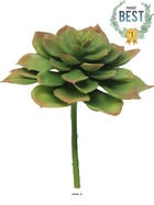 Echeveria glauca artificielle en piquet, h 17 cm, d 13 cm, vert - best - couleur