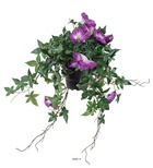 Ipomée liseron factice retombant en pot h40cm fleurs mauve violet - couleur: mau