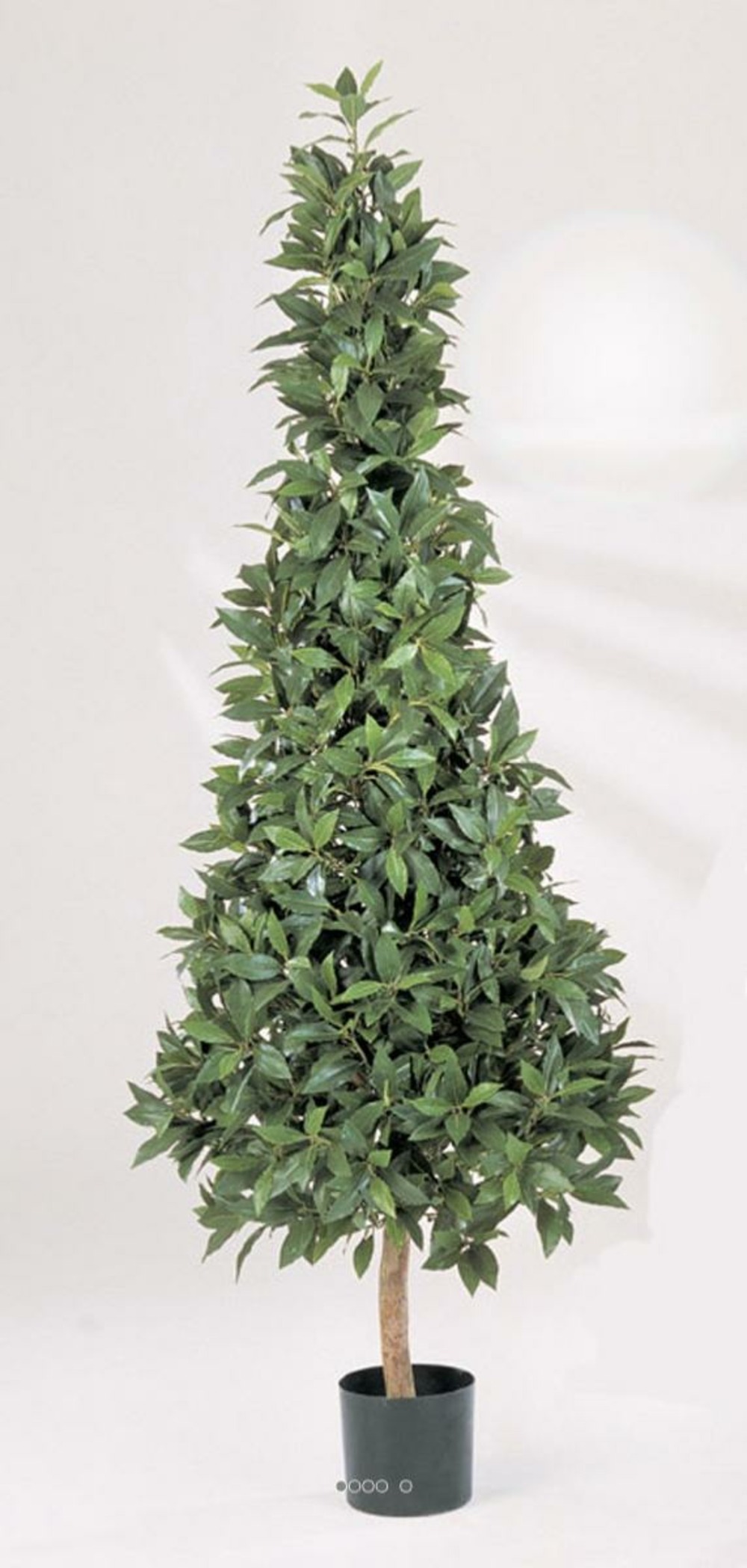 Laurier pyramide artificiel luxe h 110 cm 1258 feuilles en pot - dimhaut: h 110