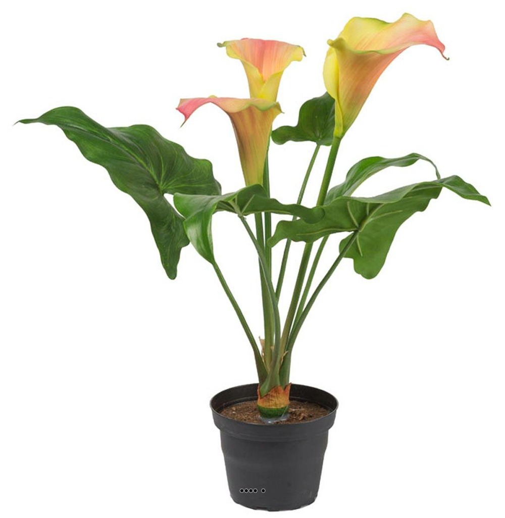 Arum calla artificiel en pot, 3 fleurs