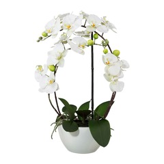 OrchidÃ©e artificielle, coupe cÃ©ramique